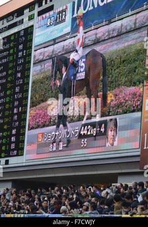 Tokyo, Japon. 29 Nov, 2015. Shonan Pandora (15), jouaient par Kenichi Ikezoe remporte la 35e Coupe du Japon à l'Hippodrome de Tokyo dans la ville de Fuchu dans l'ouest de Tokyo. Le 29 novembre 2015. Photo par : Ramiro Agustin Vargas Tabares. © Ramiro Agustin Vargas Tabares/ZUMA/Alamy Fil Live News Banque D'Images