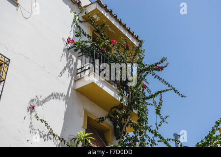 Rues andalouses traditionnelles de fleurs et maisons blanches à Marbella, Andalousie Espagne Banque D'Images