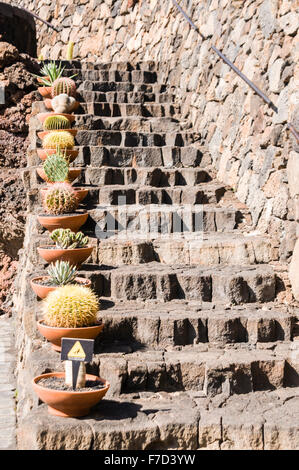 Marches de pierre dans le jardin de cactus, Lanzarote, créé par l'artiste César Manrique Banque D'Images