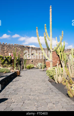 Jardin de cactus, Lanzarote, créé par l'artiste César Manrique Banque D'Images