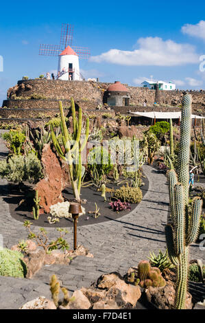 Les visiteurs du Moulin Blanc sur une colline au jardin de cactus, Lanzarote, créé par l'artiste César Manrique Banque D'Images