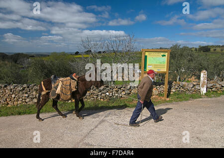 Le Parc Naturel de Sierra de Aracena, agriculteur et de l'âne, Cumbres de San Bartolome, province de Huelva, Andalousie, Espagne, Europe Banque D'Images