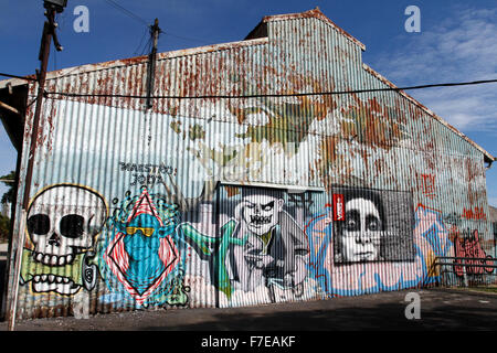 Streetart street art graffiti sur un hangar en tôles ondulées Rosario Argentine Banque D'Images