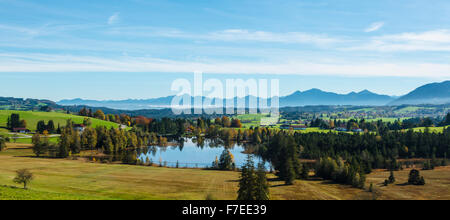 Paysage avec un petit lac, la silhouette de l'Alpes d'Allgäu, derrière, de l'Allgäu souabe, Bavière, Allemagne Banque D'Images