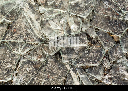 Plan Macro sur broken glass shards sur un fond des chaussées en béton Banque D'Images