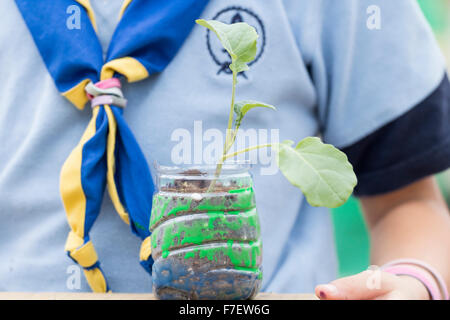 L'Espagnol du Scoutisme à boutures rempotage événement de sensibilisation au changement climatique en Espagne Banque D'Images