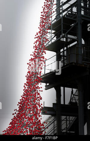 La Cascade de coquelicots rouges en céramique à Woodhorn Mining Museum en mémoire de soldats de la Première Guerre Mondiale Washington Northumberland Royaume-uni Banque D'Images