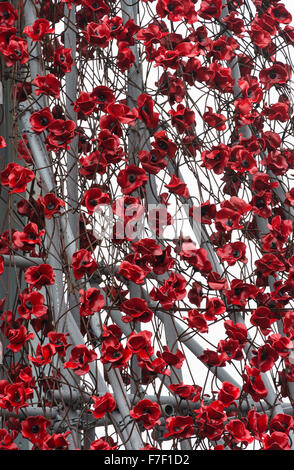 La Cascade de coquelicots rouges en céramique à Woodhorn Mining Museum en mémoire de soldats de la Première Guerre Mondiale Washington Northumberland Royaume-uni Banque D'Images