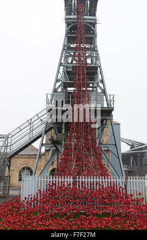 La Cascade de coquelicots rouges en céramique à Woodhorn Mining Museum en mémoire de soldats de la Première Guerre Mondiale Washington Northumberland Royaume-uni Banque D'Images