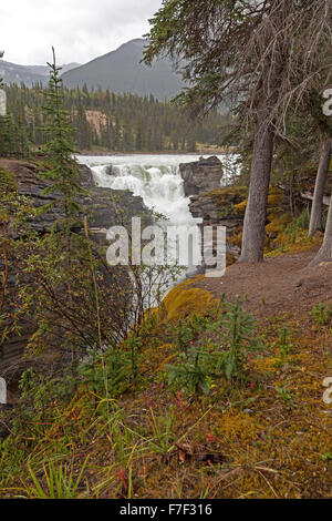 Athabasca Falls, une cascade dans le Parc National Jasper sur la partie supérieure de la rivière Athabasca en Alberta, Canada Banque D'Images