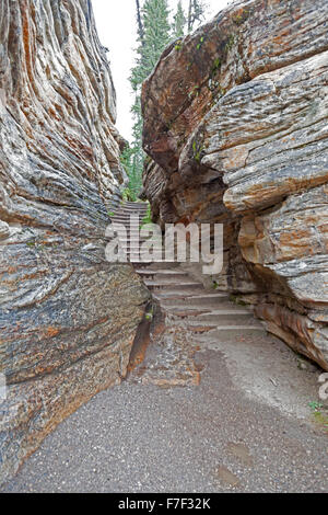 Étapes à travers les rochers à l'Athabasca Falls, une cascade dans le Parc National Jasper sur la partie supérieure de la rivière Athabasca en Alberta, Canada Banque D'Images