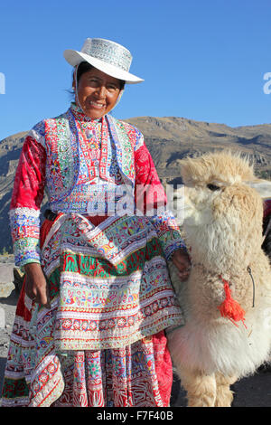 Femme péruvienne de l'alpaga Banque D'Images