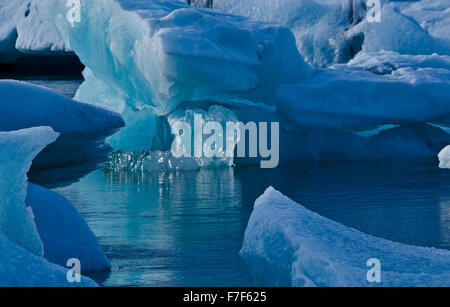 Baignade dans le lagon des icebergs Jökulsarlon, Islande Banque D'Images