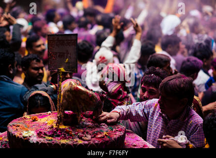 Lathmar Holi Célébration à Bankei Bihari Temple, Vrindavan, Braj, Uttar Pradesh, Inde Banque D'Images