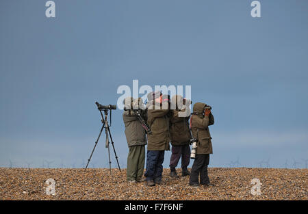 Les observateurs d'oiseaux sur la plage, le CLAJ North Norfolk, Angleterre Banque D'Images