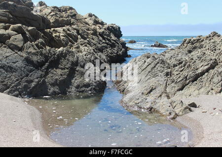 Piscine créé par les vagues venant à travers les rochers trois de quatre. Des petits cailloux et algues dans la piscine (trois sur quatre) Banque D'Images