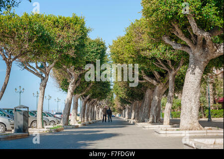 Front de mer de Trapani, un boulevard ombragé au bord de l'eau dans la zone du port de Trapani, en Sicile. Banque D'Images