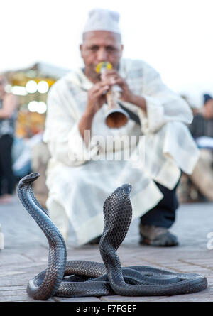 Charmeur de serpent et cobras dans la place Jemaa El Fna à Marrakech, Maroc. Banque D'Images