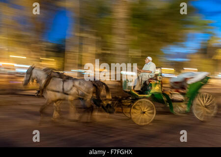 La calèche dans la place Jemaa El Fna à Marrakech, Maroc. Banque D'Images