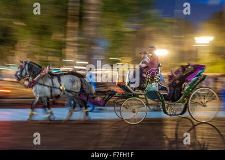 La calèche dans la place Jemaa El Fna à Marrakech, Maroc. Banque D'Images