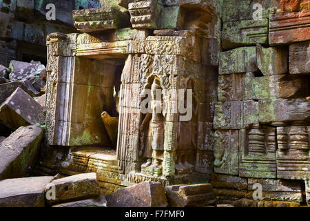 Ta Prohm Temple, Angkor, Cambodge, Asie Banque D'Images