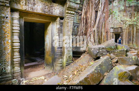 Ta Prohm Temple, Angkor, Cambodge, Asie Banque D'Images