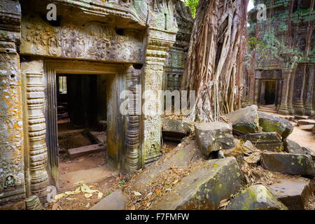 Ta Prohm Temple, Angkor, Cambodge, Asie Banque D'Images