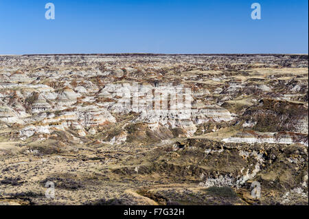 Le parc provincial Dinosaur, reconnue pour la beauté de son paysage et badlands comme un site fossile, Alberta,Canada Banque D'Images