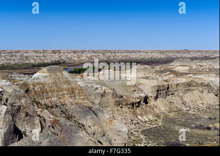 Parc provincial Dinosaur, près de Drumheller, reconnue pour la beauté de son paysage et badlands comme un important site de fossiles, l'Alberta,peut Banque D'Images