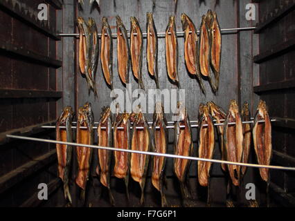 Tout préparés harengs fumés (kippers) accrocher dans un cabinet de fumer en bois en vente sur un marché de producteurs, England UK Banque D'Images