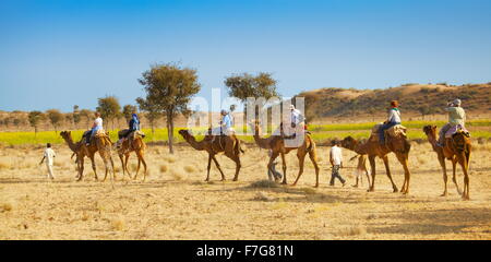 Chameau safari tour avec les touristes dans le désert du Thar près de Jaisalmer, Inde Banque D'Images