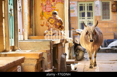 Scène de rue, vache en marchant dans la rue, Jaisalmer, Rajasthan, India Banque D'Images