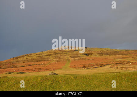 Soleil sur la colline de Cox en hiver, un jour de tempête, Dartmoor National Park, Devon, Angleterre Banque D'Images