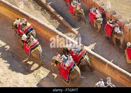 Les éléphants transportant des touristes au Fort Amber à Jaipur, Rajasthan, Inde Banque D'Images