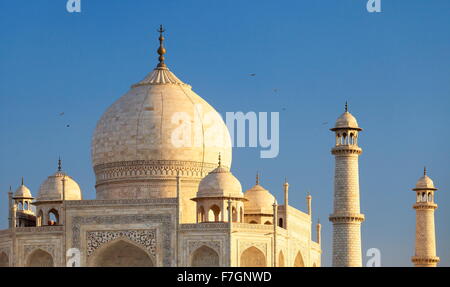 Taj Mahal (Nord) view of Taj Mahal, Agra, Uttar Pradesh, Inde Banque D'Images