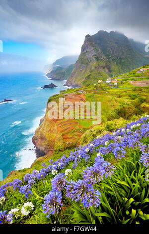 Madère - paysage avec des fleurs près de Ponta Delgada, l'île de Madère, Portugal Banque D'Images