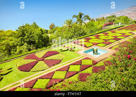 Le Jardin botanique de Madère - Funchal, Madère, Portugal Banque D'Images