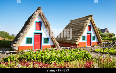 Santana - accueil traditionnel palheiros - l'île de Madère, Portugal Banque D'Images