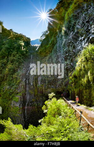 Madère - Levada do Risco, voie de Risco cascade, l'île de Madère, Portugal Banque D'Images