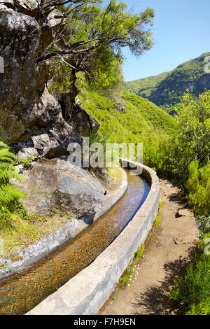 Levada das 25 Fontes, canal d'irrigation, Rabacal, l'île de Madère, Portugal Banque D'Images