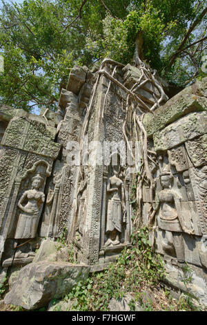 Des statues et des sculptures à la jungle, temple de Beng Mealea, Siem Reap, Cambodge Banque D'Images