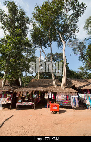 Hut avec un arbre à travers elle à Koh Ker Temple, Siem Reap, Cambodge Banque D'Images