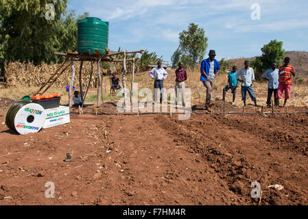 Le MALAWI, Zingiziwa village, l'installation de système d'irrigation goutte à goutte pour les petits agriculteurs Banque D'Images