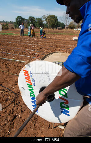 Le MALAWI, Zingiziwa village, l'installation de système d'irrigation goutte à goutte pour les petits agriculteurs Banque D'Images