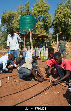 Le MALAWI, Zingiziwa village, l'installation de système d'irrigation goutte à goutte pour les petits agriculteurs Banque D'Images