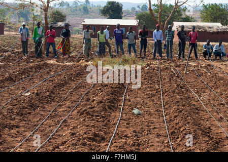 Le MALAWI, Zingiziwa village, l'installation de système d'irrigation goutte à goutte pour les petits agriculteurs Banque D'Images