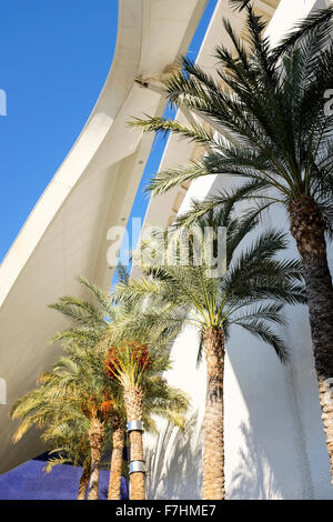 Palau de les Arts Reina Sofia, la Ville des Arts et des Sciences, Ciudad de las Artes y las Ciencias, Valencia, Espagne Banque D'Images