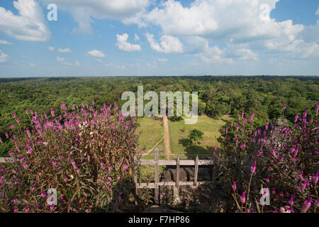 Vue de la jungle de Prasat Thom temple pyramide à Koh Ker, Siem Reap, Cambodge Banque D'Images