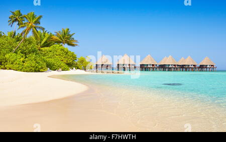 Paysage de plage tropicale à l'île des Maldives, Ari Atoll Banque D'Images