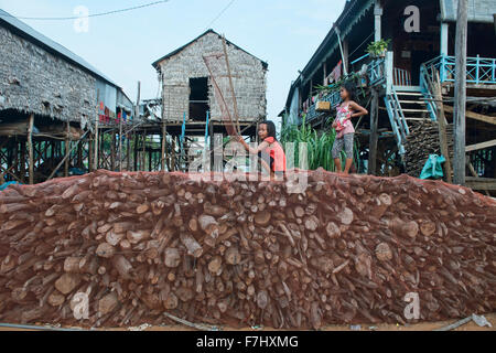 Pour attraper les libellules dans le village flottant de KOMPONG PHLUK près de Siem Reap, Cambodge Banque D'Images